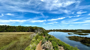 Bread-N-Butter Trails: Willie Browne Nature Preserve