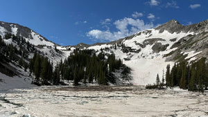 Embrace the Wild: The Speedgoat Guide to Trail Running